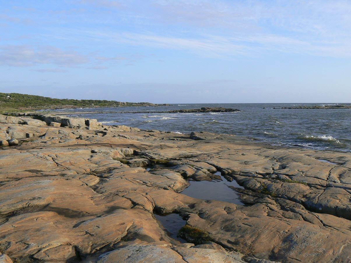 Naturreservat Steninge