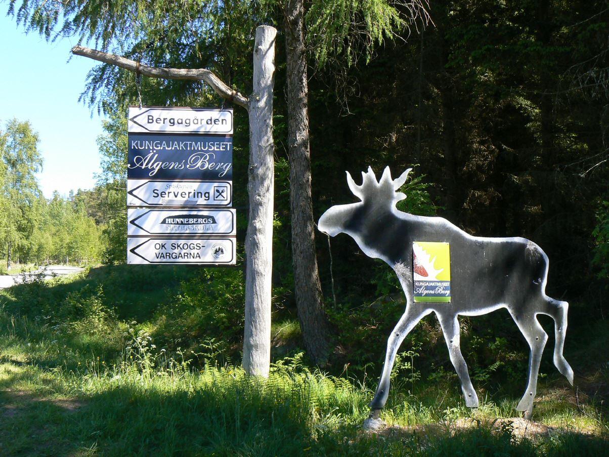 Elchmuseum