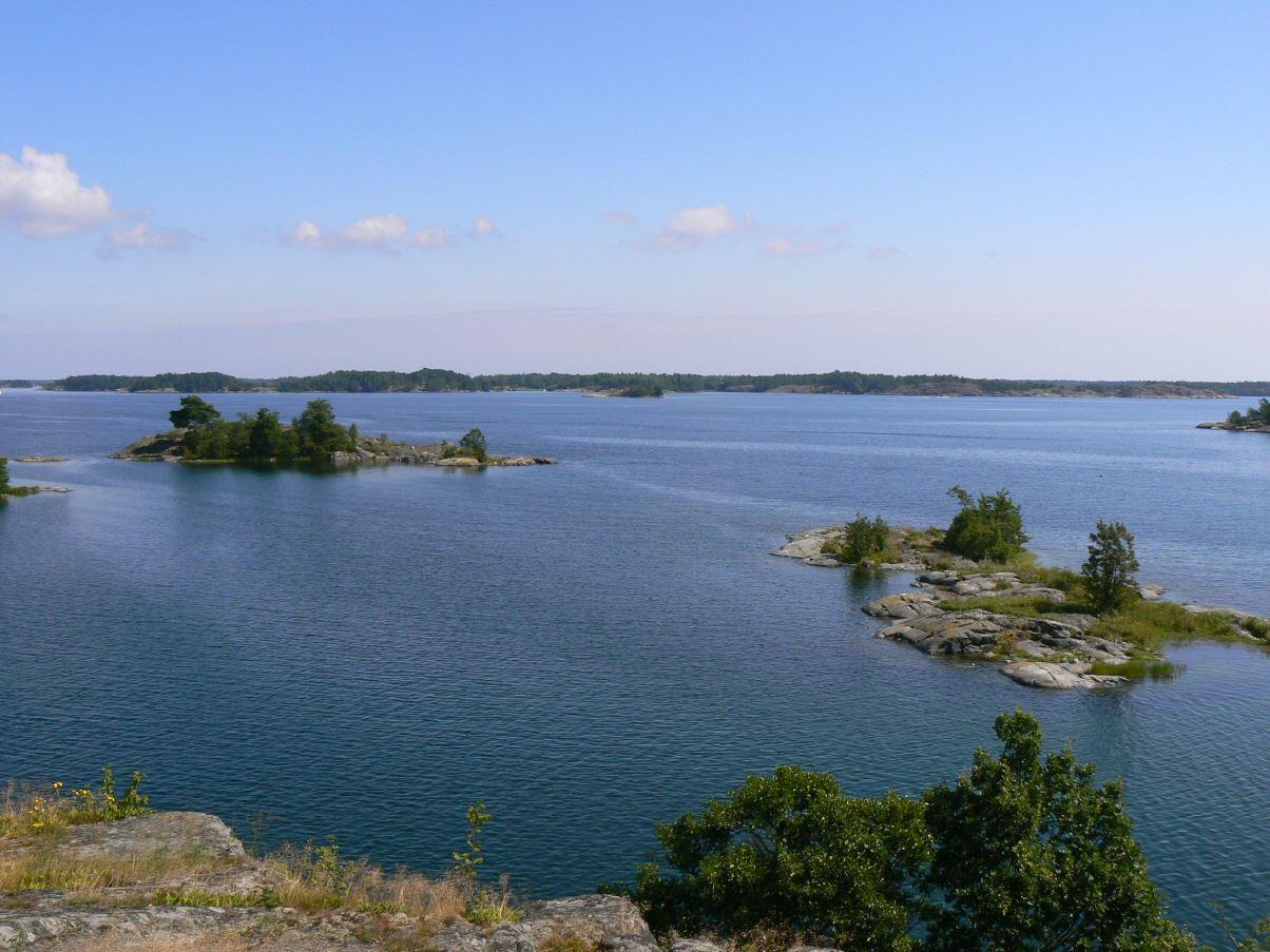 Ekön (Gryt)