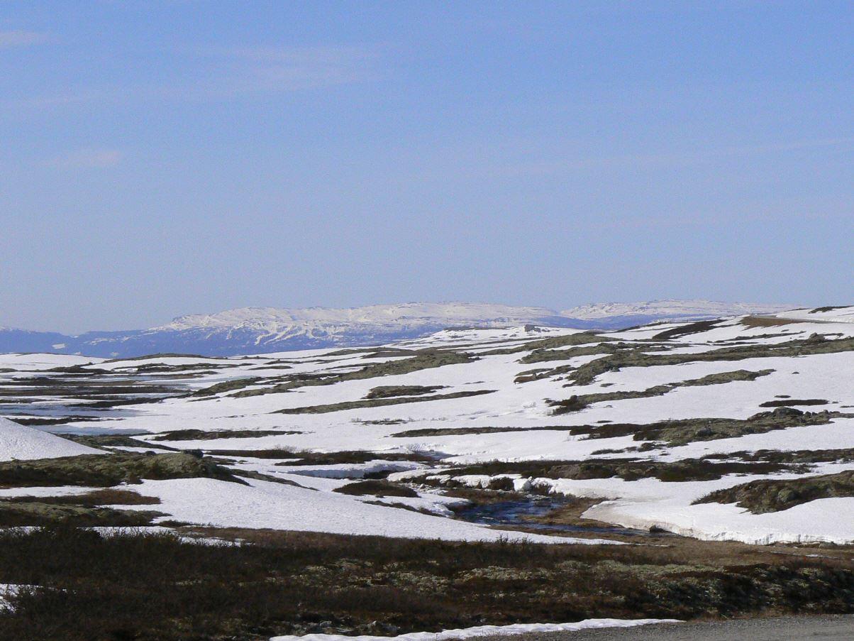 Venabygd Fjellet