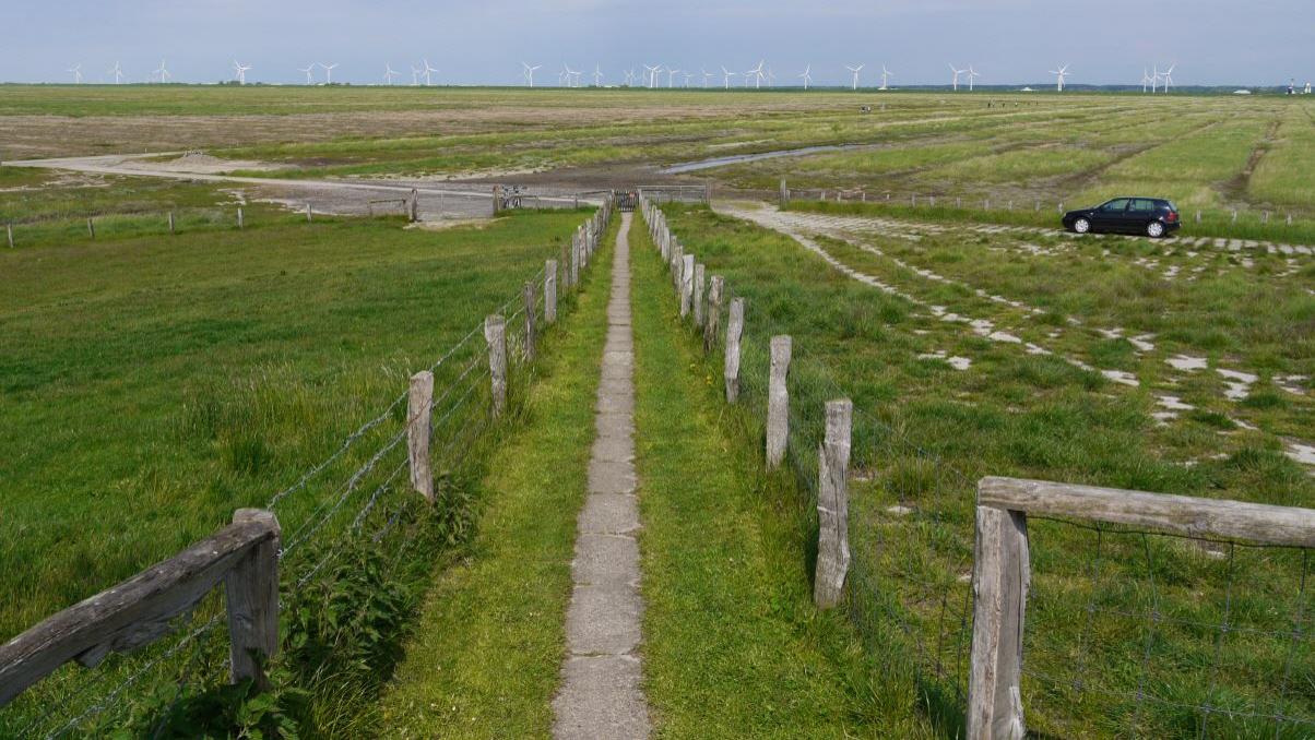 Hamburger Hallig