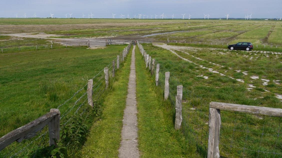 Hamburger Hallig