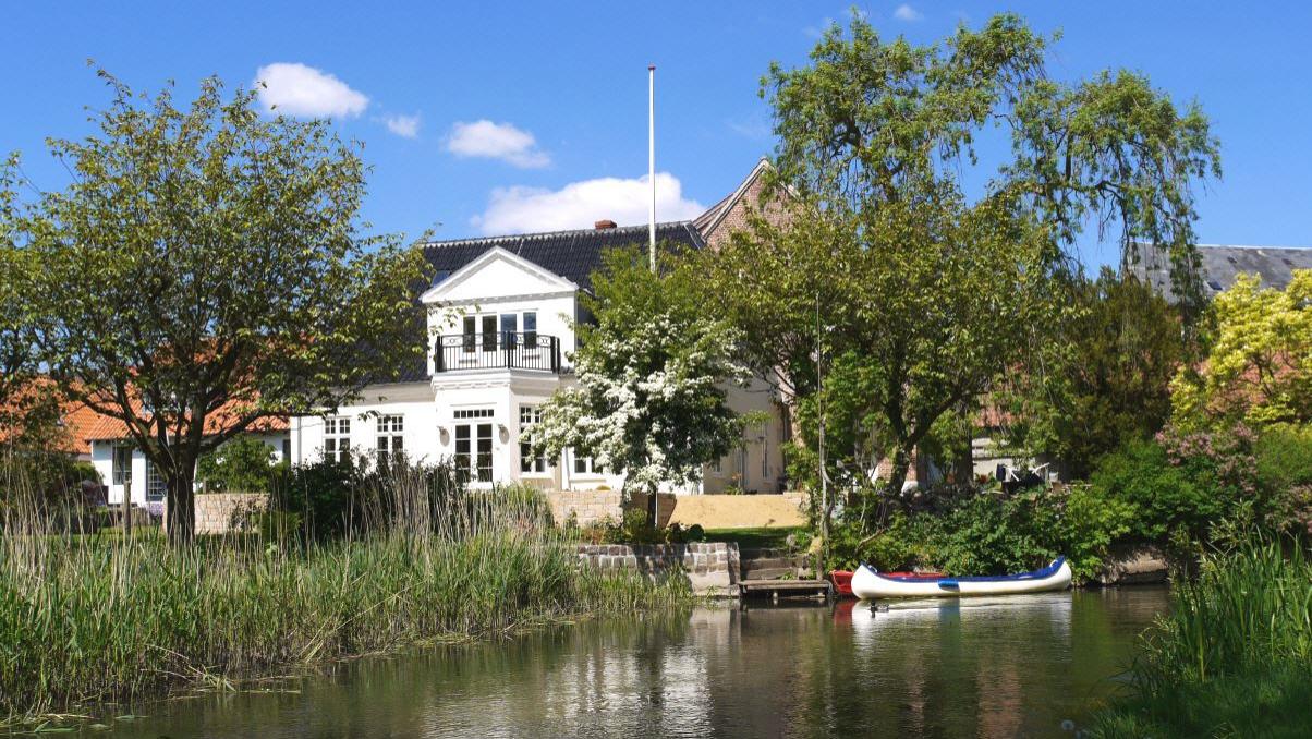 Ribe