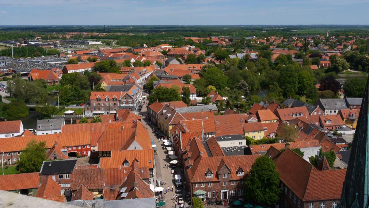 Dächerblick