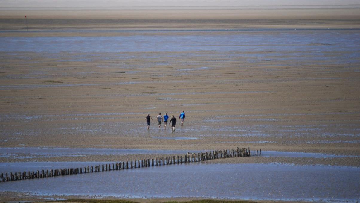 Insel Mandø