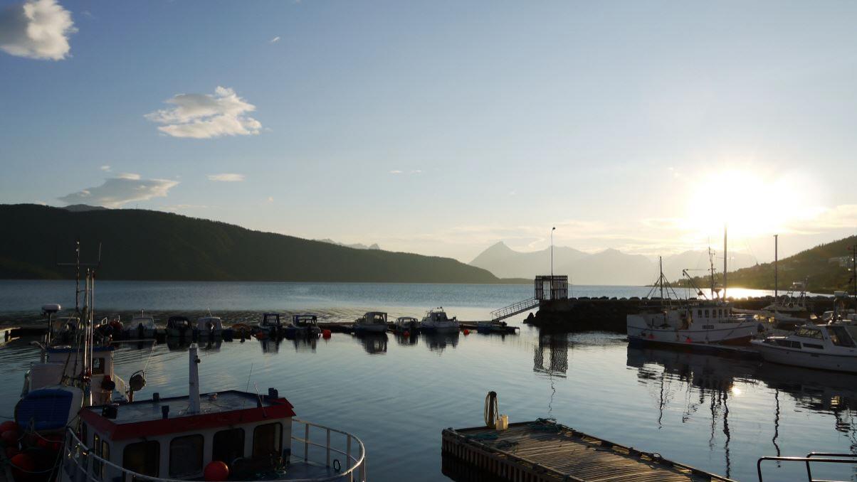 am Kvæfjorden