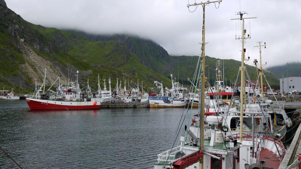 Ballstadøya - Hafen