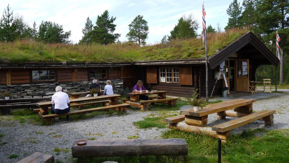 Bølareinen