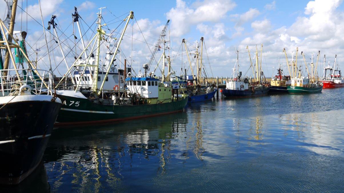 Insel Rømø - Havneby