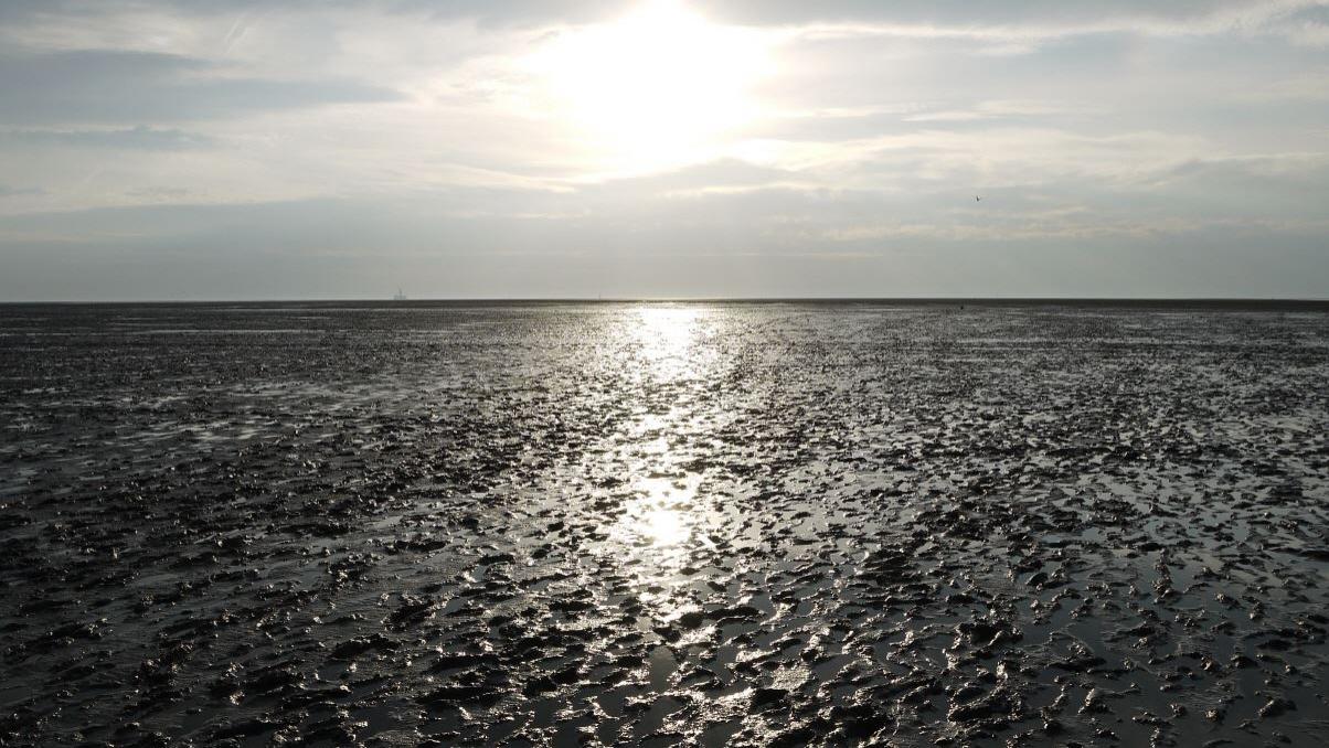 Friedrichskoog Spitze