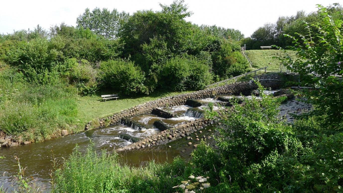 Fischtreppen