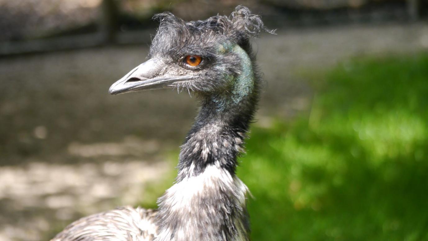 Jyllands Park Zoo