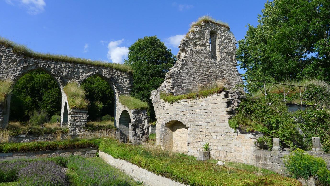 Klosterruine Alvastra