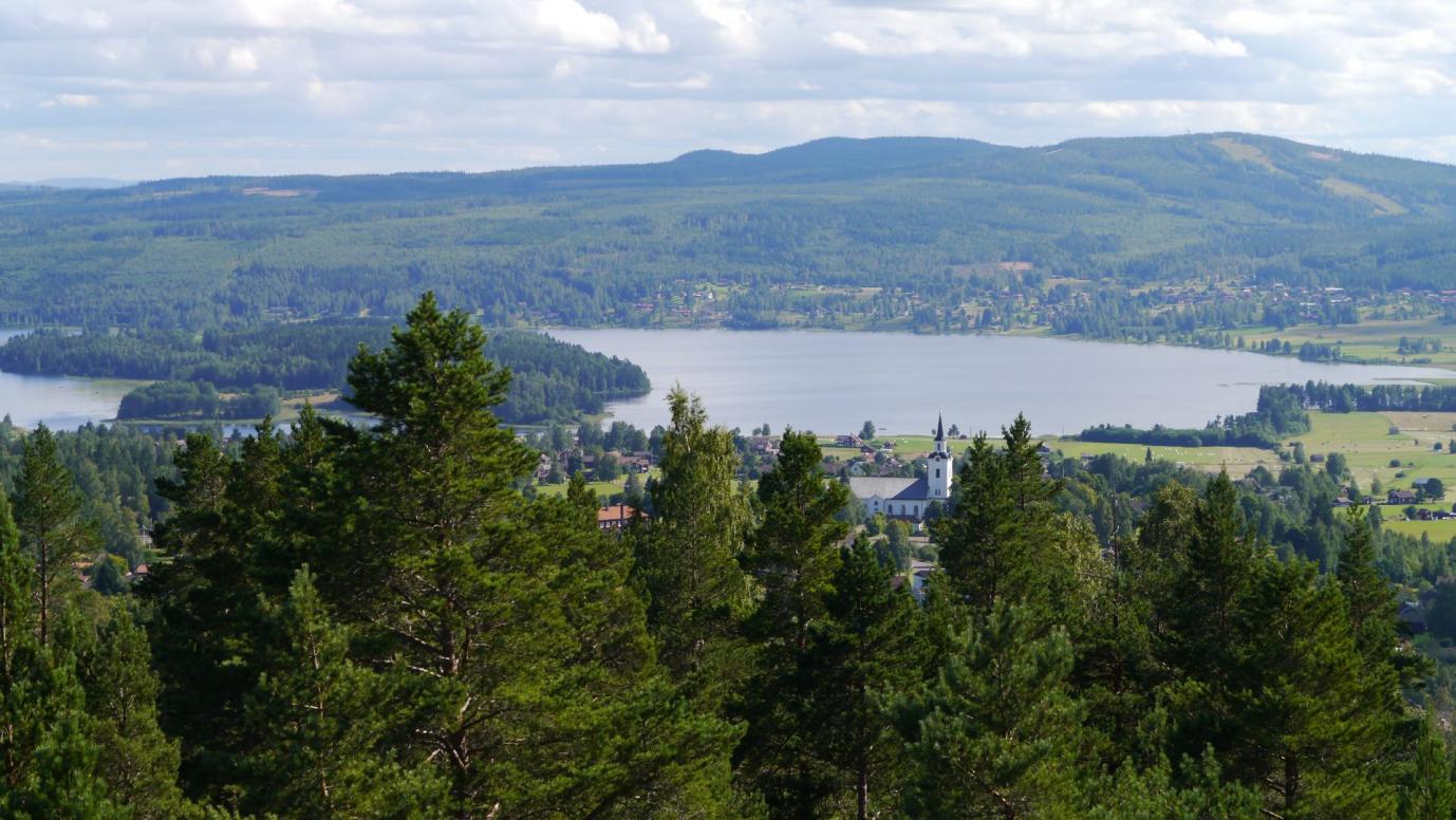 auf dem Aussichtsturm vom Naturum