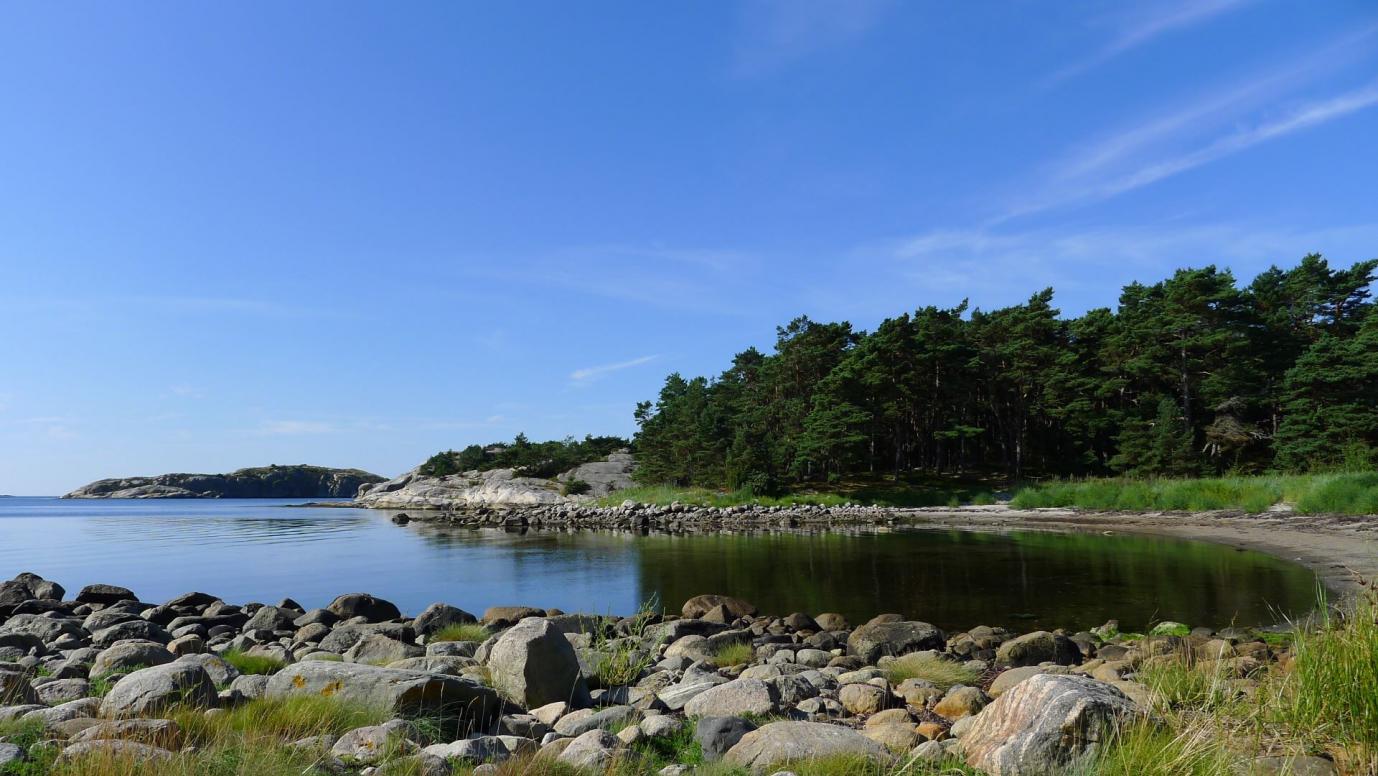 am Klipstrand vom Saltö Naturreservat