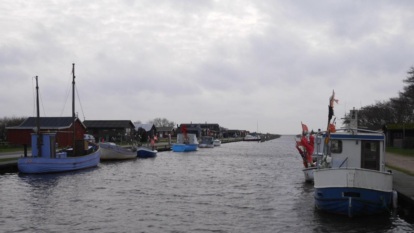 Stauning Havn