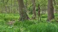 200531-049v.JPG
