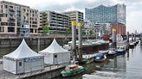 200609-012v.JPG