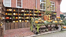 231101-03v Jork - Besuch verschiedener Hofläden: 
