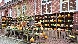 231101-05v Jork - Besuch verschiedener Hofläden: 