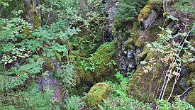 230828-066v Högbergsfältet - Kulturhistorischer Wanderweg, den Spuren des ehemaligen Bergbaus folgen ...