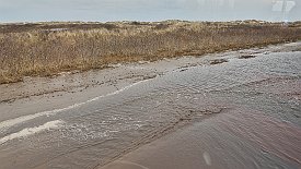 240328-08v Grenen (Skagen) - Fahrt mit dem Traktorbus zum Landsende und wieder zurück