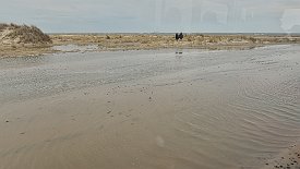 240328-12v Grenen (Skagen) - Fahrt mit dem Traktorbus zum Landsende und wieder zurück