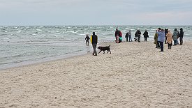240328-19v Grenen (Skagen) - Fahrt mit dem Traktorbus zum Landsende und wieder zurück