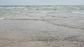 240328-20v Grenen (Skagen) - Fahrt mit dem Traktorbus zum Landsende und wieder zurück