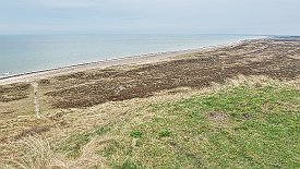 240330-051v Bulbjerg - 