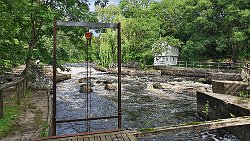 240818-23v Mörrum - Besuch des 