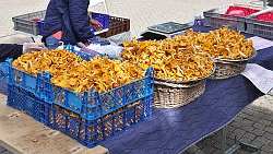 240824-21v Enköping - Stadtbummel ...wir kaufen frische Pfifferlinge