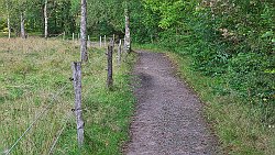 240901-09v Simlångsdalen - Spaziergang zu den 