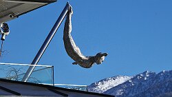 250306-103v St. Wolfgang am Wolfgangsee - Spaziergang durch den Ort ... Springer