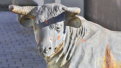 250306-104v St. Wolfgang am Wolfgangsee - Spaziergang durch den Ort