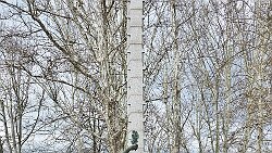 250413-21v Slovenj Gradec - Spaziergang ... Spomenik svobode (Freiheitsdenkmal)