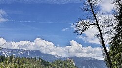 250416-013v Bled - Spaziergang rund um den 
