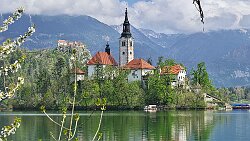 250416-030v Bled - Blick zur 