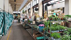 250419-17v Gorica (deutsch: Görz) - Stadtbummel ... an & in der alten Markthalle