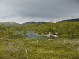 100730-12.JPG