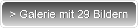 > Galerie mit 29 Bildern