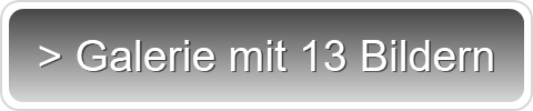 > Galerie mit 13 Bildern