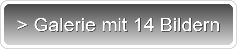 > Galerie mit 14 Bildern