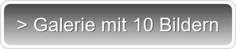 > Galerie mit 10 Bildern